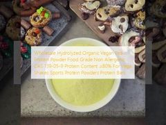 Wholesale Hydrolyzed Organic Vegan Pea Protein Powder Food Grade Non Allergenic CAS 139-05-9 Protein Content ≥80% For Vega Shakes Sports Protein Powders Protein Bars